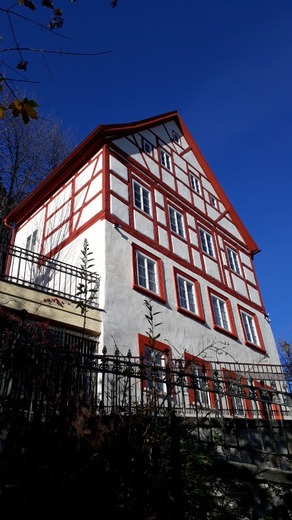 20201106_130631.jpg